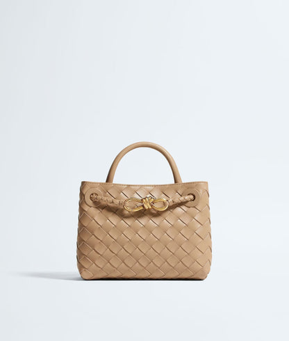 Bottega Veneta Mini Andiamo